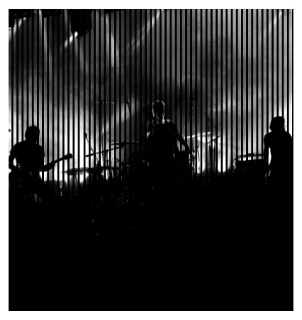 Akustikpaneele mit Digitaldruck Band01 19 x 2253 x 2400 mm Konzert Band Musik MDF PET-Fasern Wandpaneele Schwarz Weiß 4 Einzelplatten