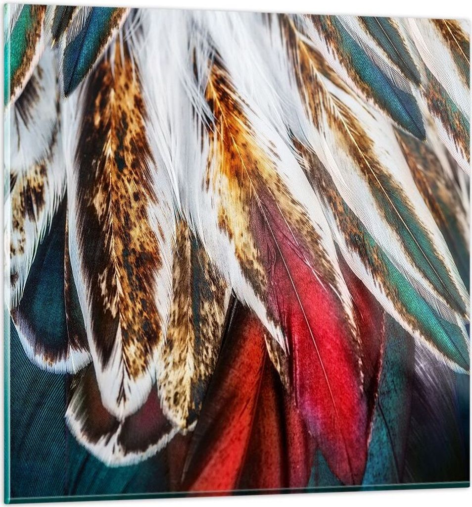 Bilder auf glas - Federn Federn Vogel - 60x60cm - Glasbilder - Wandbilder - Kunstdruck - zum Aufhängen bereit - Wanddekoration aus Glas - Glas Bil...