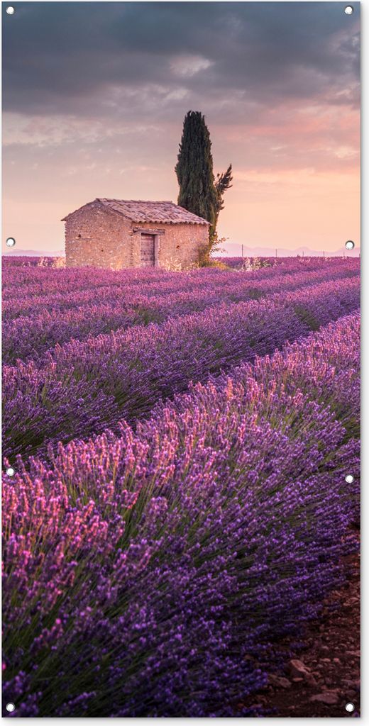 MuchoWow 80x160 cm Outdoor-Poster Gartendeko Sichtschutz Garten Poster für den Garten Lavendel - Blumen - Lila - Feld
