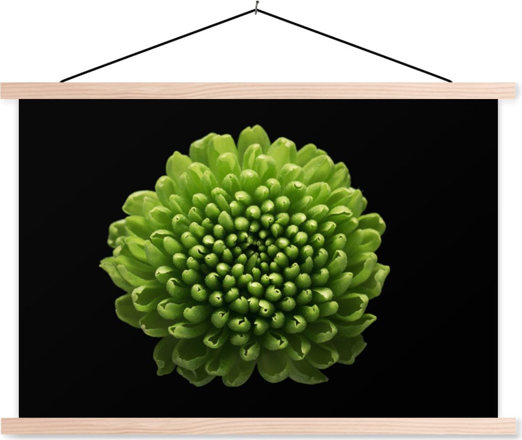 MuchoWow Textilposter Eine grüne Chrysanthemenblüte auf schwarzem Hintergrund 60x40 cm mit holzfarbenen Rahmen - Bilder