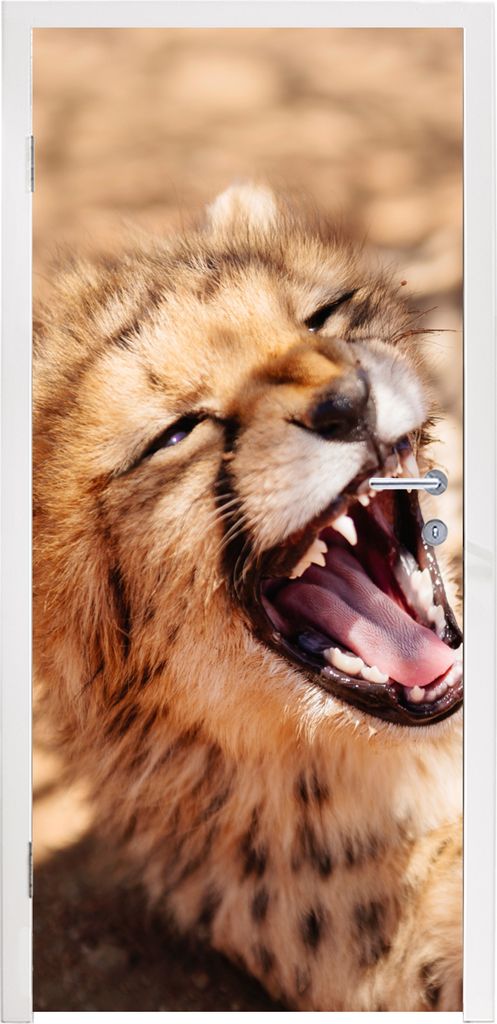 MuchoWow Türtapete Selbstklebende Türfolie Gepard - Tier - Nahaufnahme 95x235 cm Türposter Türaufkleber Klebefolie Türklebefolie - XXL-Poste...