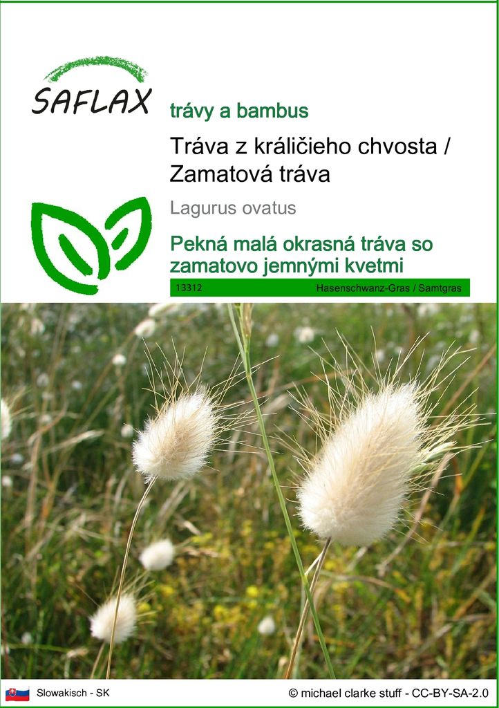 SAFLAX - Tráva z králičieho chvosta / Zamatová tráva - Obrázok produktu 