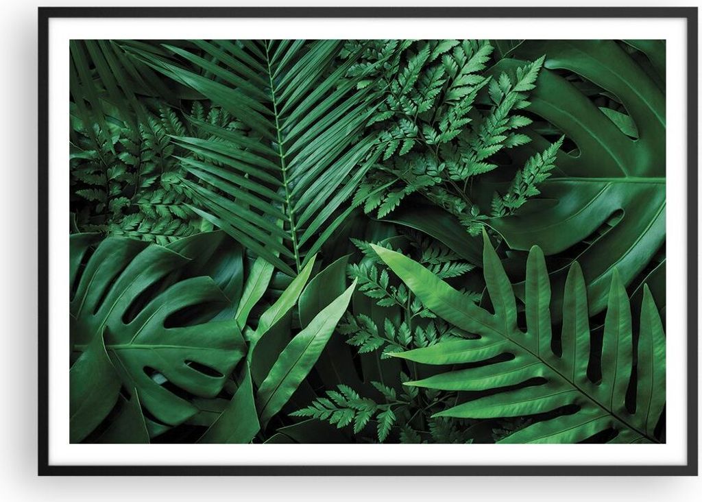Gerahmtes Poster - Schwarzer Rahmen - Exotisch Blätter Monstera - 100x70 cm - Wand Bild - Wanddeko - Wandbilder - Kunstposter - Wandposter - Bilde...