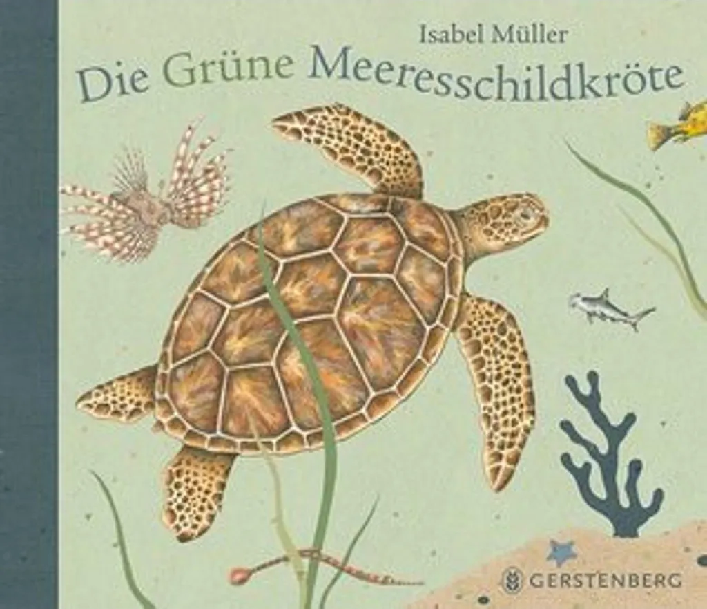 Bouillotte tortue marine verte en microbilles - Soulagement enfant