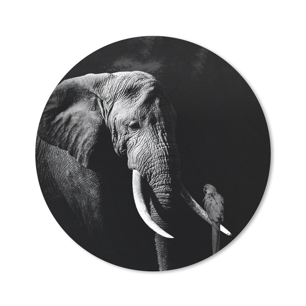 MuchoWow Mauspad Mousepad Elefant - Papagei - Zähne - Schwarz - Weiß 20x20 cm - Mousepads - Maus Mat - Pad - Mausunterlage - Schreibtischmatte