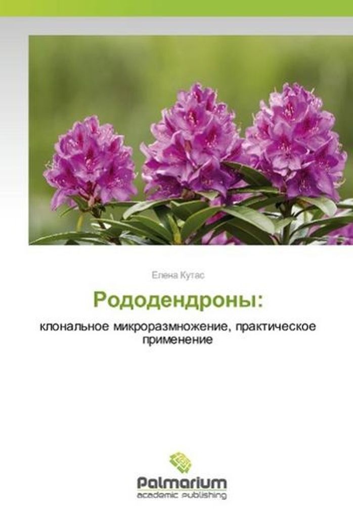 Rhododendron: