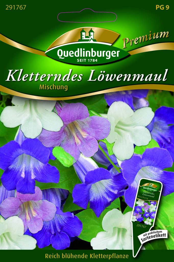 Kletterndes Löwenmaul Produktbild 