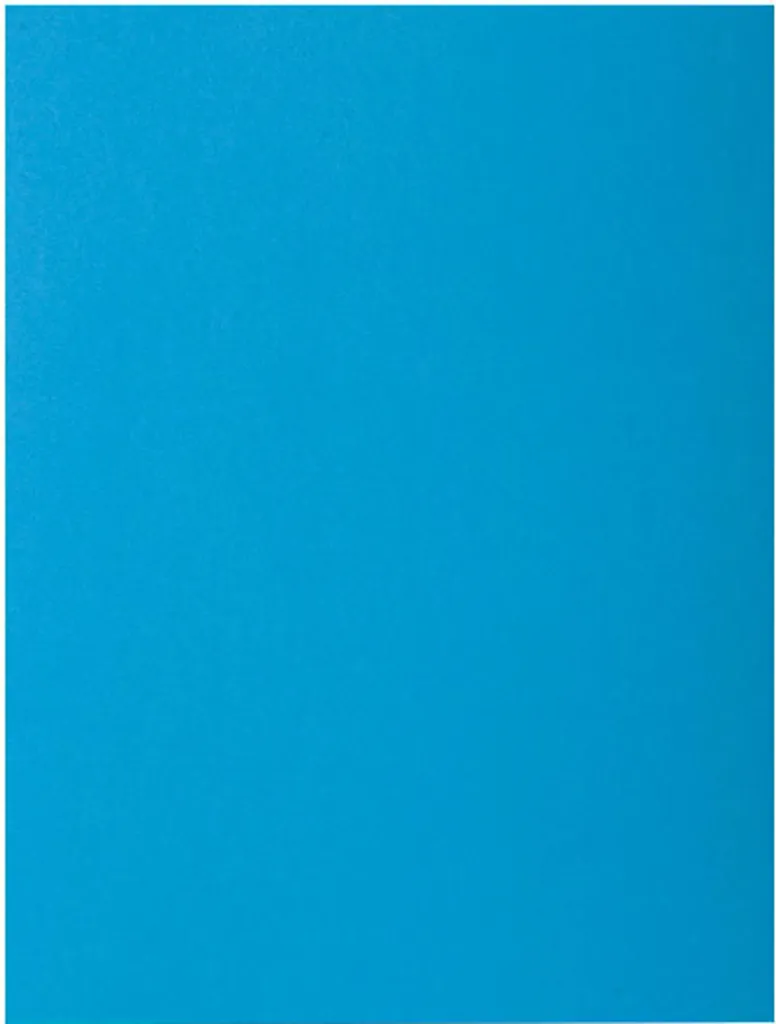 Protégez vos documents avec les chemises Rock's 210 Bleu 24x32 cm 100u