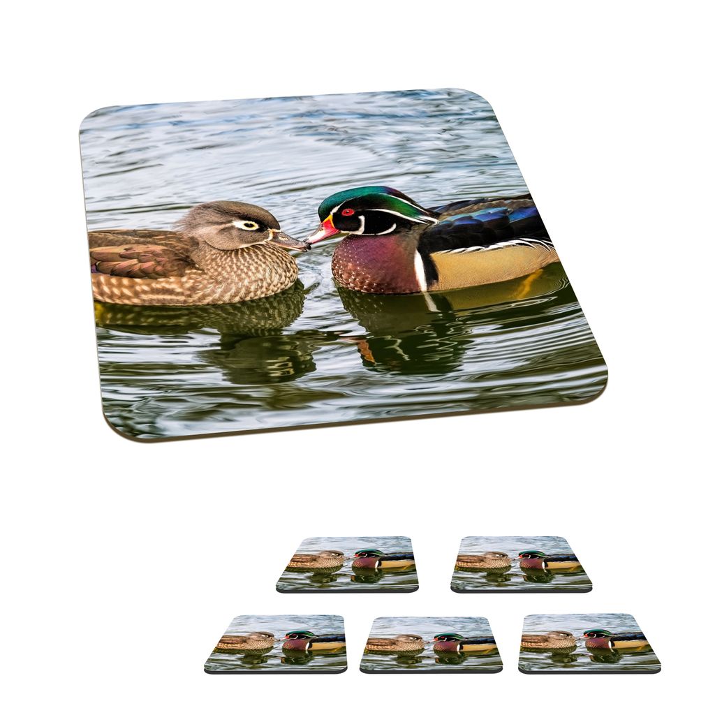 KitchenYeah Glasuntersetzer Quadratisch 6er Set Ente - Vögel - Wasser - Federn - Tiere 10x10 cm Untersetzer für Gläser - Getränkeuntersetzer...