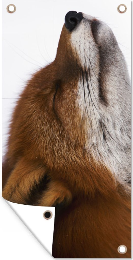 MuchoWow 30x60 cm Outdoor-Poster Gartendeko Sichtschutz Garten Poster für den Garten Fuchs - Nase - Weiß