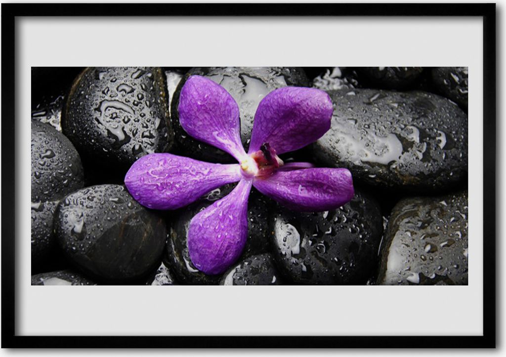 Bild 100x70 MDF-Rahmen Wandkunst Blumen-Stones-Kunst Produktbild 