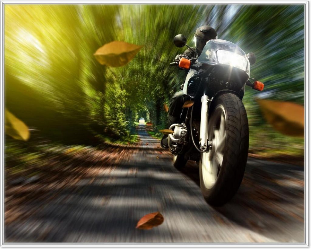 Wallario Wandbild Fahrendes Motorrad im Wald mit Herbstlaub, Größe: 40,30 x 50,30 cm, Poster mit weißem Aluminiumrahmen