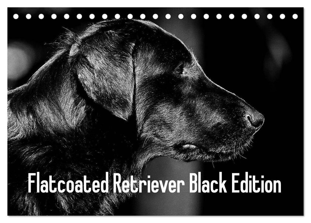 Flatcoated Retriever Black Edition (Tischkalender 2027 DIN A5 quer), CALVENDO Monatskalender