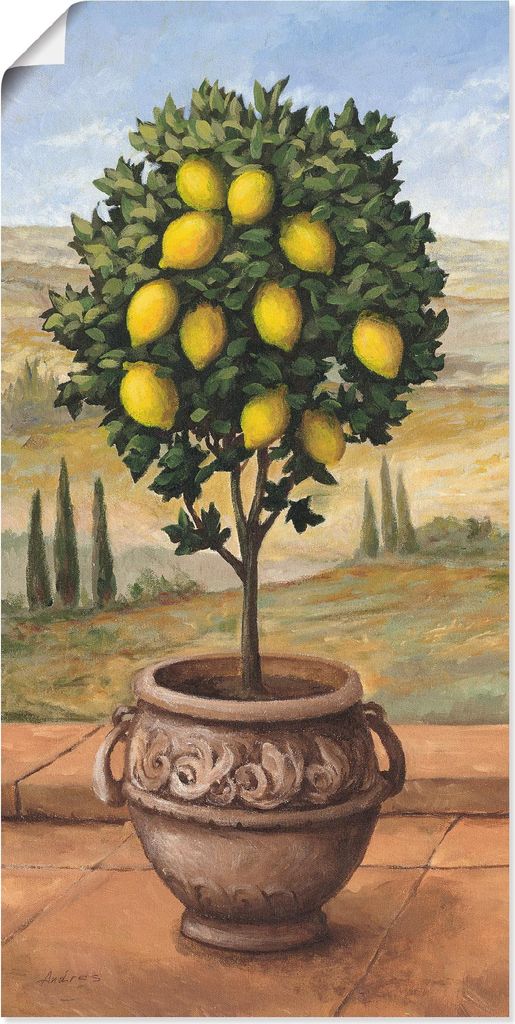 ARTland Poster Zitronenbaum Größe: 50x100 cm