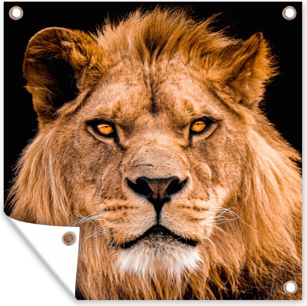 MuchoWow 100x100 cm Outdoor-Poster Gartendeko Sichtschutz Garten Poster für den Garten Löwe - Porträt - Schwarz