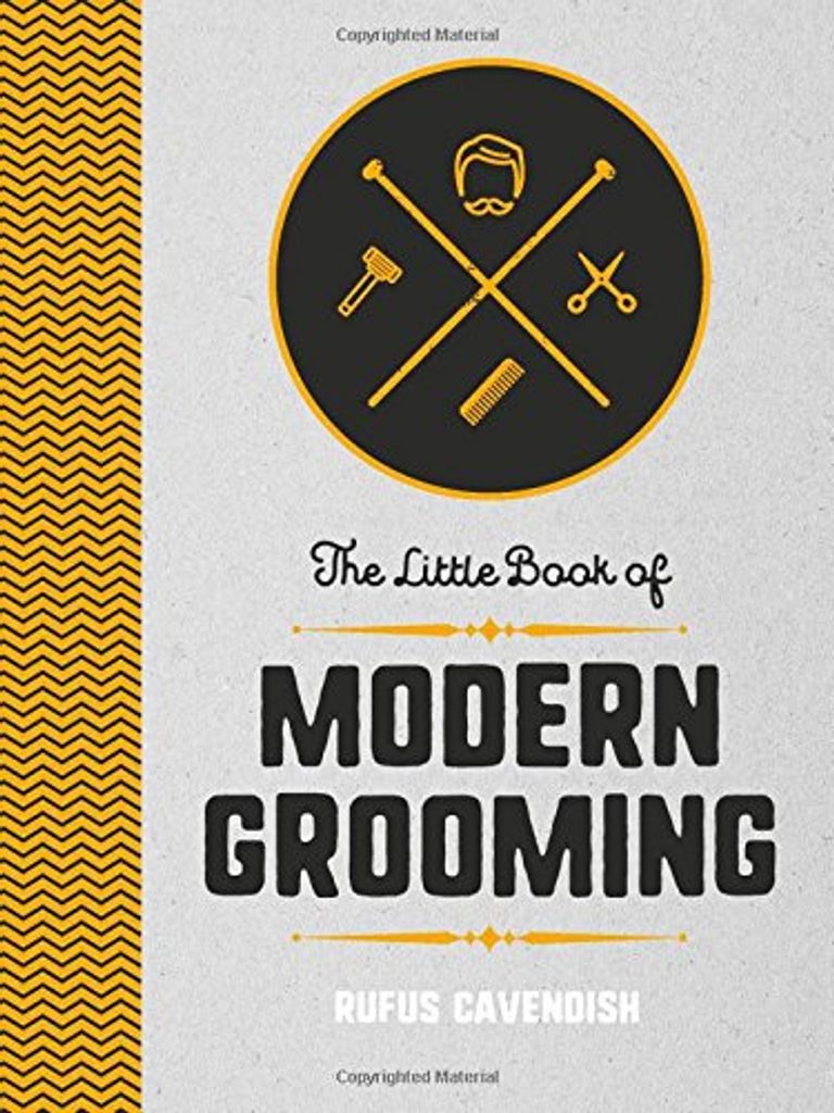 Little Book of Modern Grooming