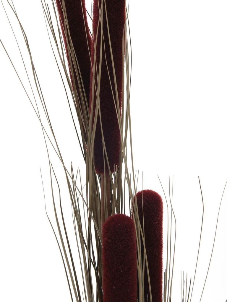 artplants.de Deko Schilfgras, Kolben, Dunkelbraun, 150cm - Künstliches Gras - Kunstgras
