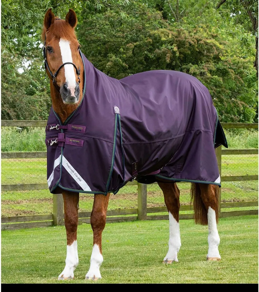 Couverture d'extérieur Buster Hardy 100g Premier Equine Violet 183 cm