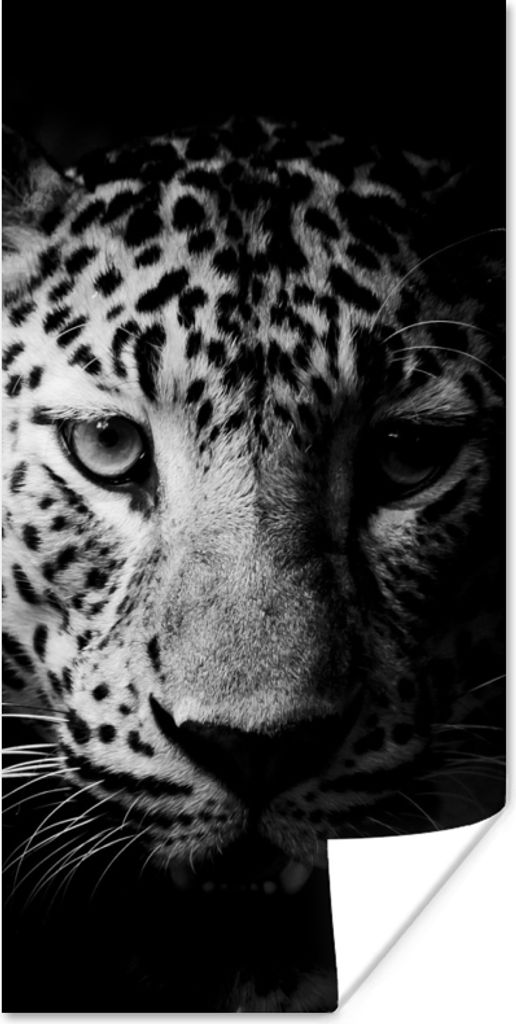 MuchoWow Poster Panther - Wildtiere - Schwarz und weiß - Tiere 80x160 cm - Kinderzimmer