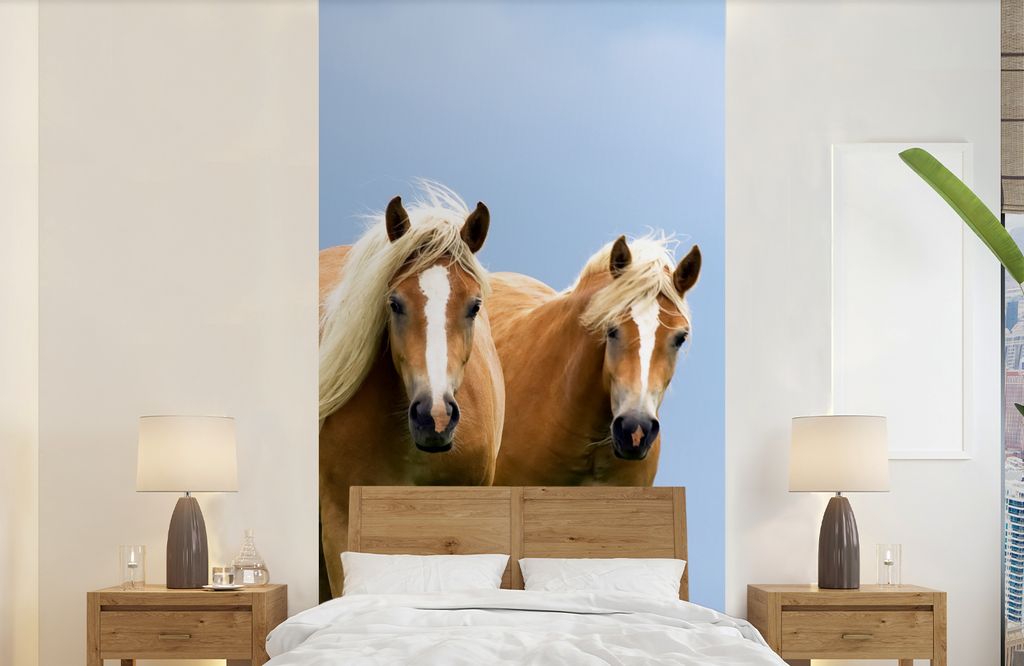 MuchoWow Fototapete für Wohnzimmer oder Schlafzimmer Wandtapete Vinyl Motivtapete Pferde - Gras - Luft - 120x240 cm - Hintergrundbild