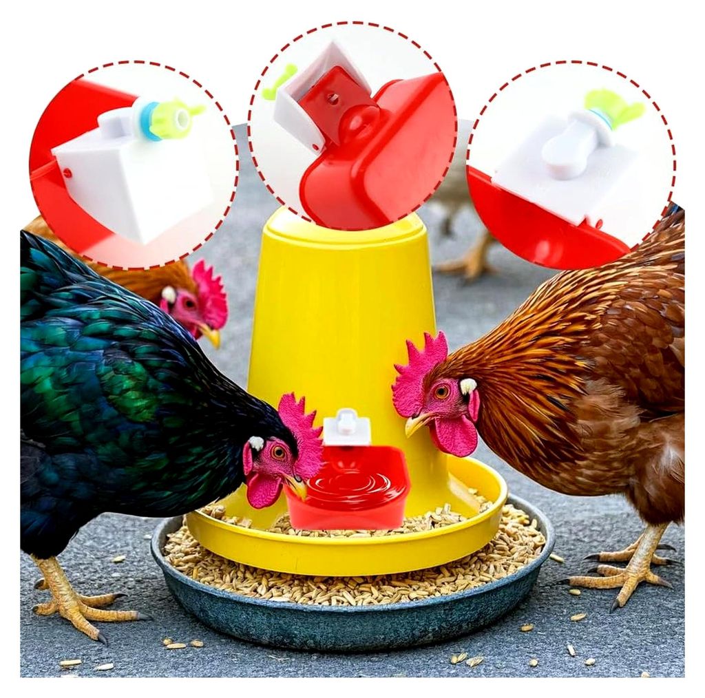 Automatische Hühnertränke, Set mit 4 großen Geflügeltränken, Wassertränke für Hühner, Enten, Gänse und Tauben (9 x 10,5 cm)