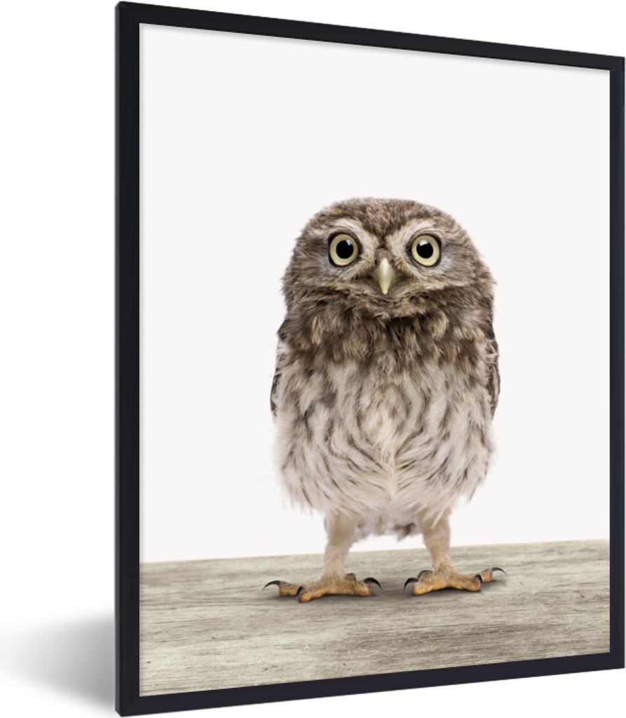 MuchoWow Gerahmtes Poster Eule - Braun - Eulenküken - Kinder - Jungen - Mädchen 60x80 cm - Poster mit Schwarzem Bilderrahmen Wandposter Rahmen ...