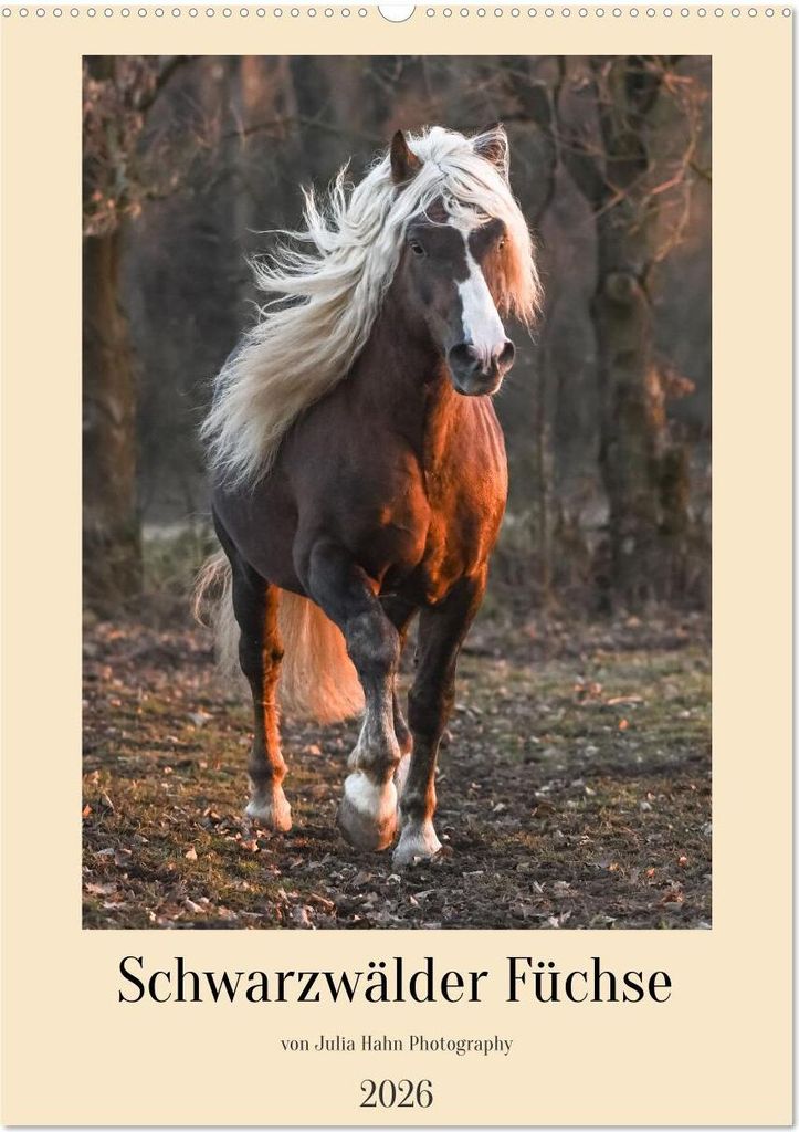 Schwarzwälder Füchse von Julia Hahn Photography (Wandkalender 2026 DIN A2 hoch), CALVENDO Monatskalender