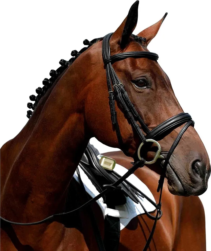 Filet de Cheval Collegiate Syntovia+ Marron avec Muserolle Combinée