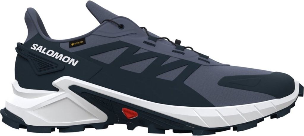 Salomon Supercross 4 GTX Sportschuhe Herren Outdoorschuhe Wanderschuh Grau, Schuhgröße:EUR 42 | UK 8