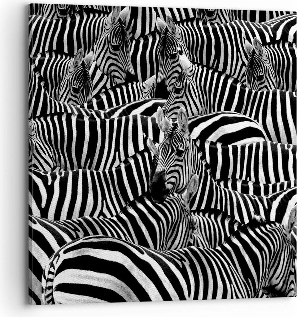 Bild auf Leinwand - Leinwandbild - Tiere Zebra Streifen - 70x70cm - Wand Bild - Wanddeko - Leinwanddruck - Bilder - Kunstdruck - Wanddekoration - L...
