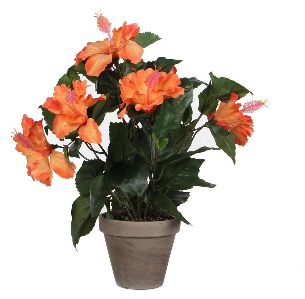 Mica Decorations Hibiskus Kunstpflanze im Blumentopf Stan - Produktbild 