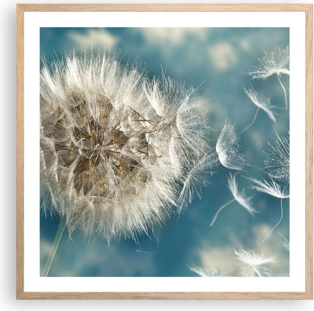 Gerahmtes Poster - Rahmen in heller Eiche - Baby Sommer Pflanze - 60x60 cm - Wand Bild - Wanddeko - Wandbilder - Wandposter - Bilderrahmen - Bilder...