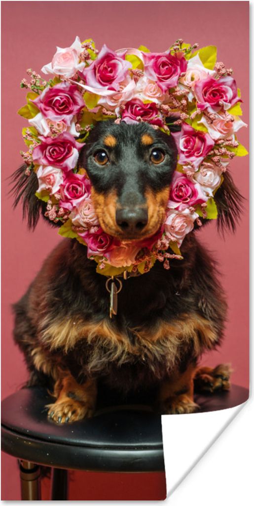 MuchoWow Poster Tier - Blumen - Hund 20x40 cm - Plakat - Foto