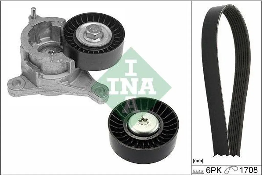 Éliminez les sifflements moteur : Kit courroie INA 529 0184 10 pour 307