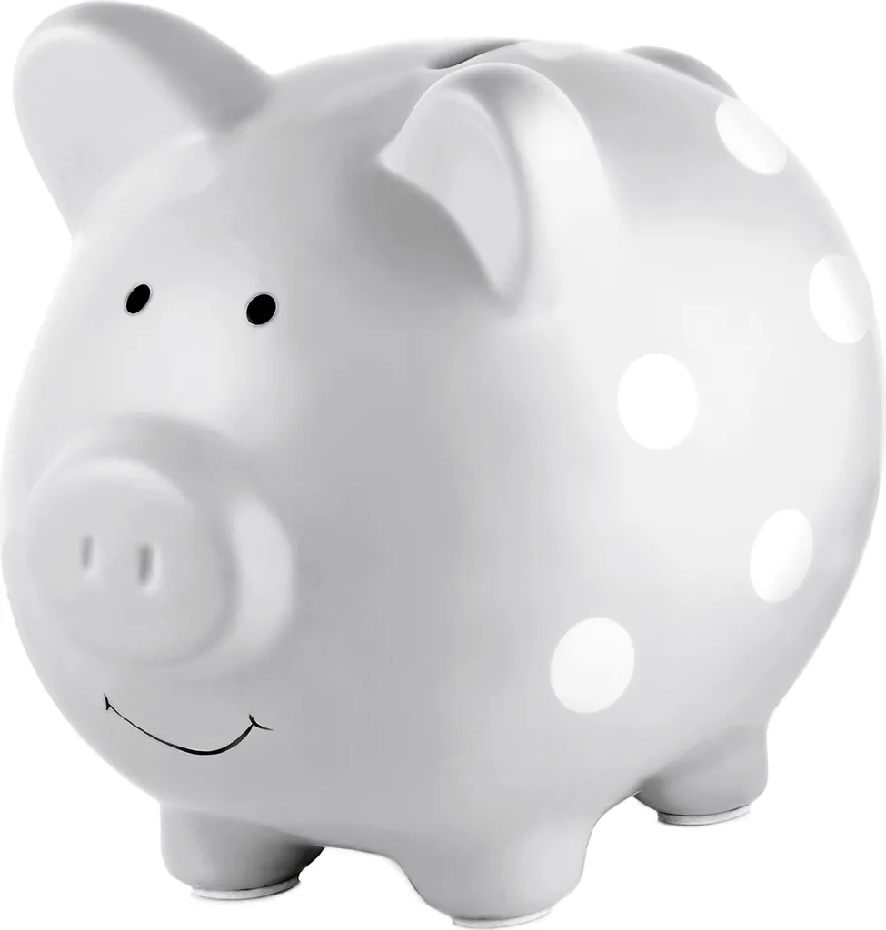 Tirelire cochon incassable pour ne plus égarer votre monnaie en vrac