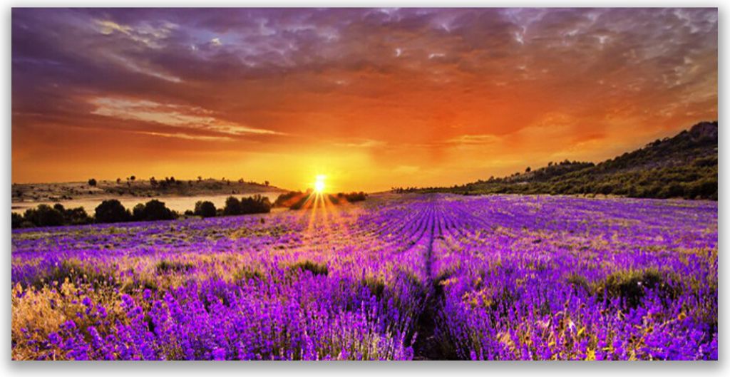 Glasbilder 140x70 Wandbild Druck auf Glas Sonne Wiese Blumen Natur
