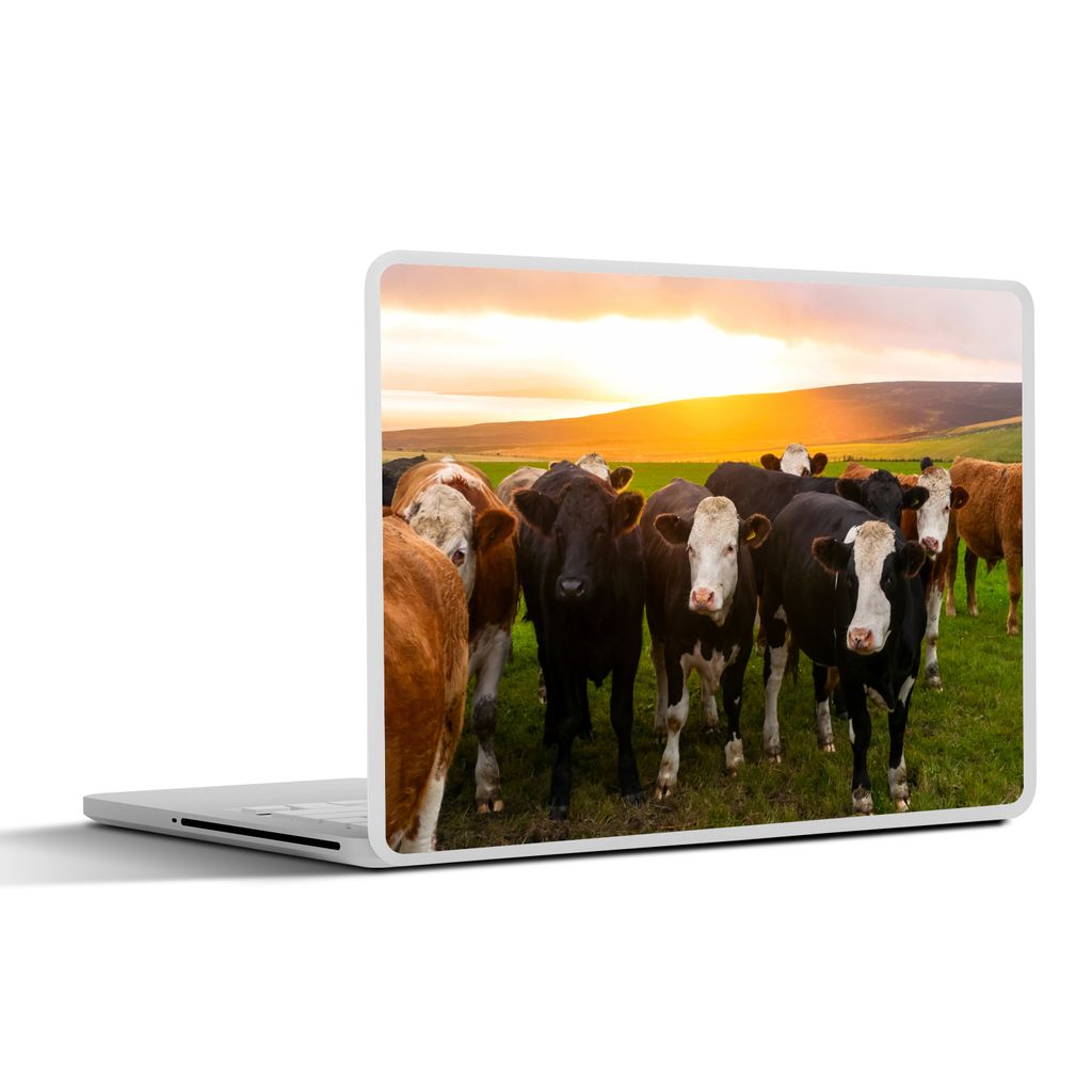 MuchoWow Laptop Aufkleber Sticker Cover Kühe - Hügel - Sonnenuntergang - Gras - Grün 30x21 cm - Sticker für Laptop - Selbstklebend
