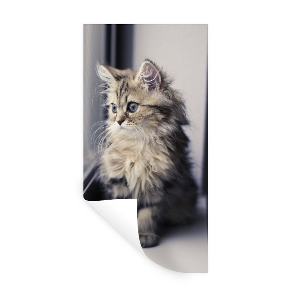 MuchoWow Wandtattoo Wandsticker Wandaufkleber Ein persisches Kätzchen schaut aus dem Fenster 40x80 cm Selbstklebend und Repositionierbar - Repos...