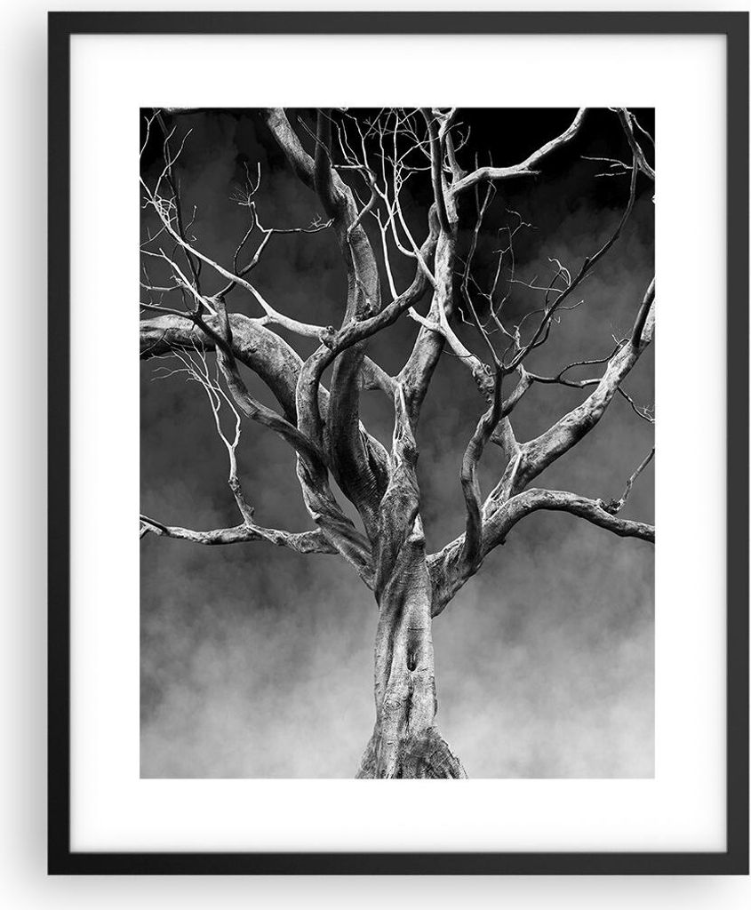 Gerahmtes Poster - Schwarzer Rahmen - Schwarzweiß Äste Rauch - 40x50 cm - Wand Bild - Wanddeko - Wandbilder - Kunstposter - Wandposter - Bilderra...