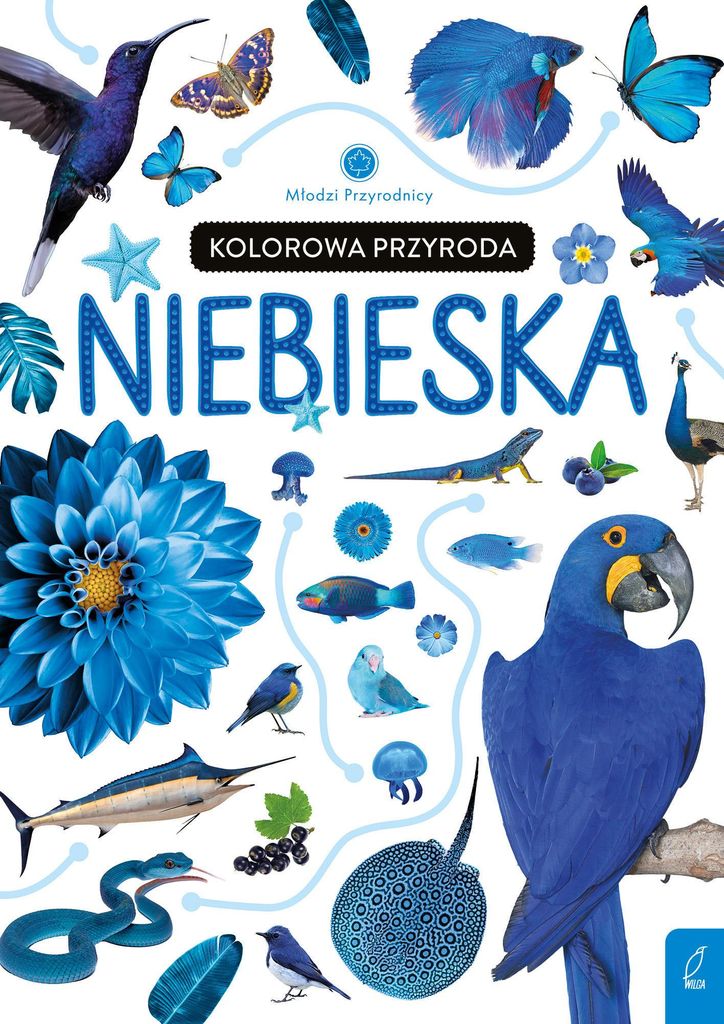 Młodzi przyrodnicy Kolorowa przyroda Niebieska (Buch auf Polnisch)