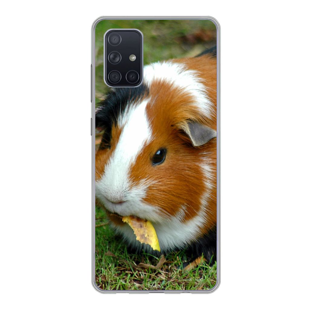 MuchoWow Handyhülle Schutzhülle Hülle für Samsung Galaxy A51 Meerschweinchen draußen Silikon Softcase Handy Hülle - Schutzabdeckung