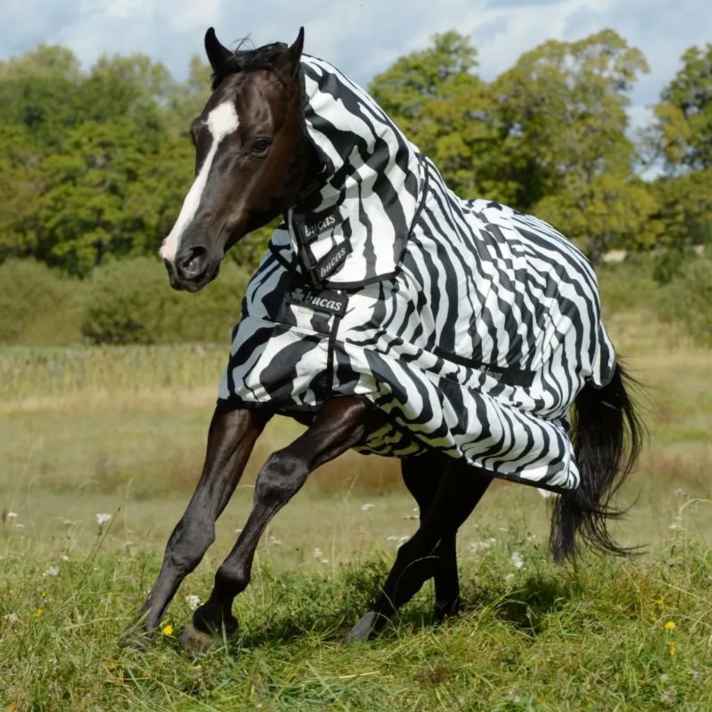 Couverture d'Encolure Anti-Mouches Pony Zebra Bucas Sweet-itch Neck