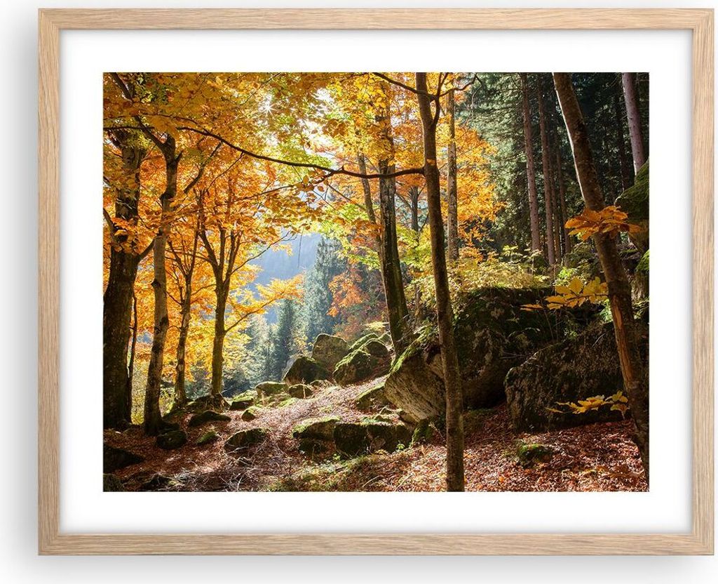 Gerahmtes Poster - Rahmen in heller Eiche - Herbst berg wald natur - 50x40 cm - Wand Bild - Wanddeko - Wandbilder - Wandposter - Bilderrahmen - Bil...