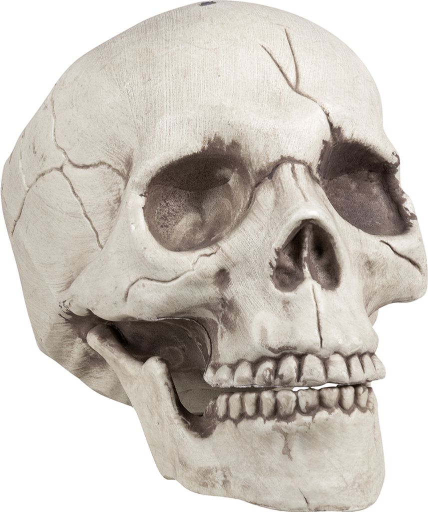 Teschio con mascella mobile - Decorazione per Halloween Immagine del prodotto 