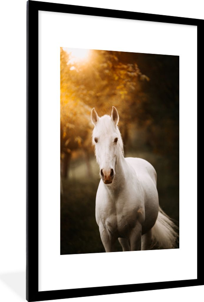 MuchoWow MuchoWow Gerahmtes Poster Pferd - Licht - Sonne 60x90 cm - Poster mit zchwarzem Bilderrahmen - Dekoration - Wandposter Wohnzimmer - Ho...