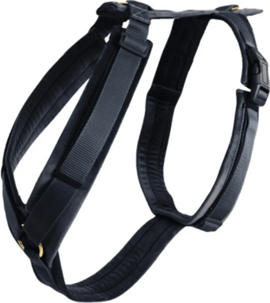 Pettorina Cane Velluto Nero Kentucky Active Velvet XXS - Chic & Soft