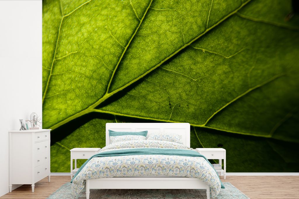 MuchoWow Fototapete für Wohnzimmer oder Schlafzimmer Wandtapete Vinyl Motivtapete Nahaufnahme eines Blattes - 420x280 cm - Zimmer für Kinder