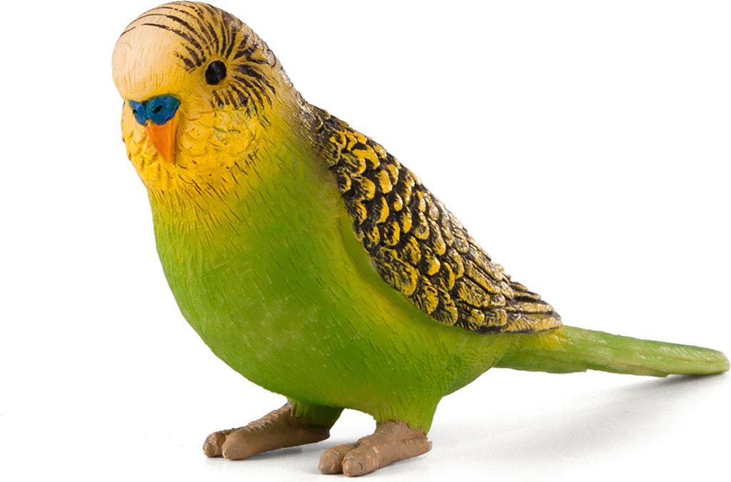 Mojo Fun Budgerigar Green, 3 lat(a), FARMLAND, Zielony, Zdjęcie produktu 