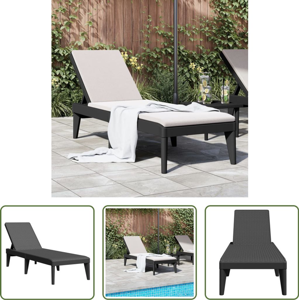 The Living Store Sonnenliege Anthrazit 186x60x29 cm PP