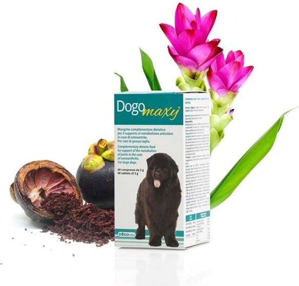 Dogoteka - DogoMaxy - 60 pièces   favorise le métabolisme Image du produit 